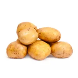 سیب زمینی